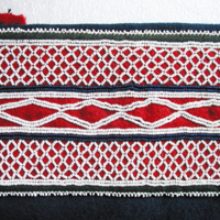 AMNH_Bodice_Panel.jpg