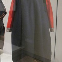 Blue Woolen Dress with Red Detached Sleeves