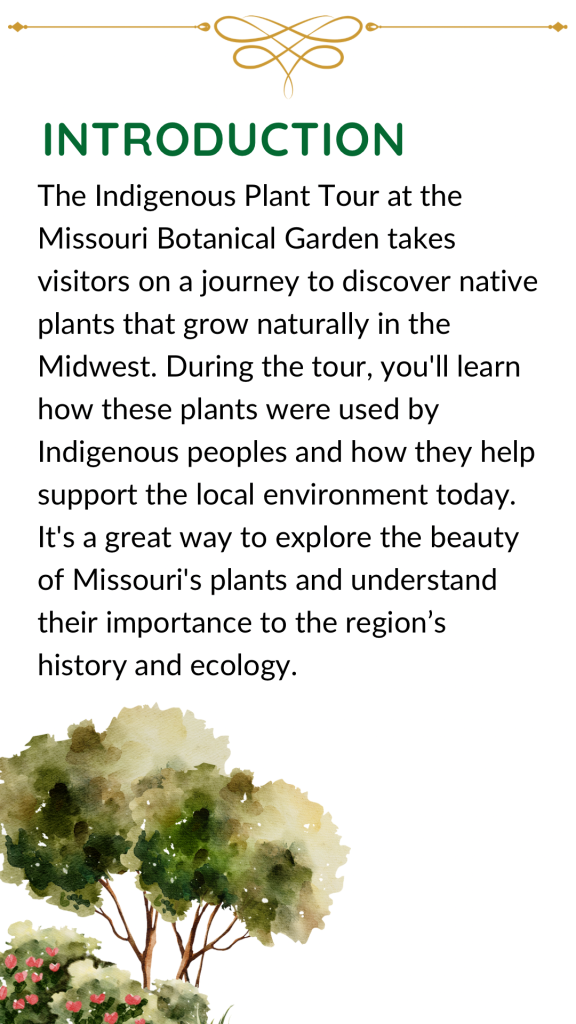 This image has an empty alt attribute; its file name is Missouri-Botanical-Garden-2-576x1024.png