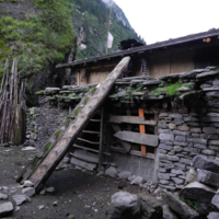 DSCN1347.jpg