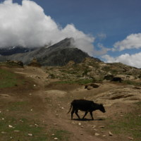 https://iris.siue.edu/manang-languages-archive/plugins/bulk/ijha/DSCN5472.JPG