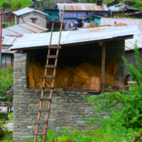DSCN1925.jpg