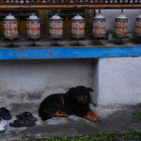 DSCN2070.jpg