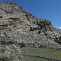 https://iris.siue.edu/manang-languages-archive/plugins/bulk/ijha/SAM_0623.JPG