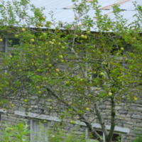 DSCN1713.jpg