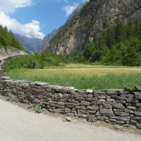https://iris.siue.edu/manang-languages-archive/plugins/bulk/ijha/SAM_0861.JPG