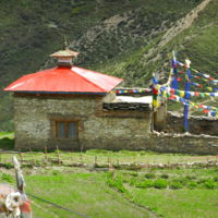 https://iris.siue.edu/manang-languages-archive/plugins/bulk/ijha/DSCN5530.JPG