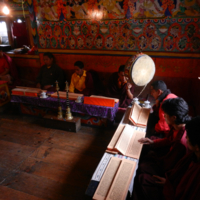 DSCN2060.jpg