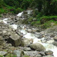 DSC01208.JPG