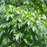 DSCN1890.jpg