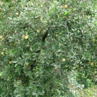 DSC01113.JPG