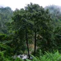 DSCN1889.jpg