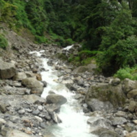 DSC01210.JPG