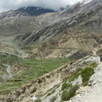 https://iris.siue.edu/manang-languages-archive/plugins/bulk/ijha/DSCN5497.JPG