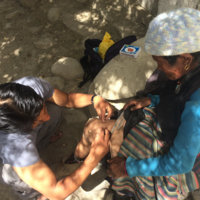 http://iris.siue.edu/nepal-earthquakes-archive/plugins/ftp/IMG_3160.JPG