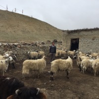 http://iris.siue.edu/nepal-earthquakes-archive/plugins/ftp/IMG_1477.jpg